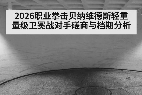 2026职业拳击贝纳维德斯轻重量级卫冕战对手磋商与档期分析